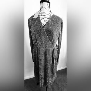 NWT Silver Shimmer Long Sleeve Lightweight Dress